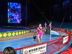 -蓬莱欧乐堡梦幻世界