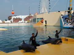 -秦皇岛乐岛海洋王国