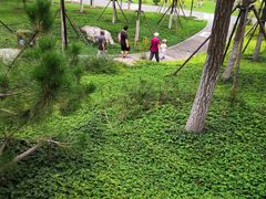 -西海子公园