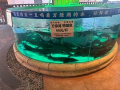 -年辉渔村·非遗传承餐厅(新丰江店)