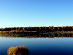 -塞罕坝国家级自然保护区