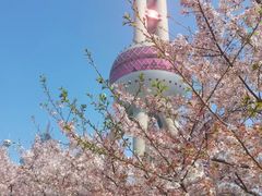 -东方明珠广播电视塔