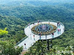 -亚龙湾热带天堂森林公园