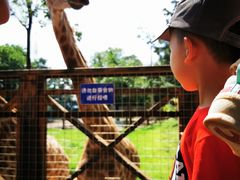 -昆明动物园