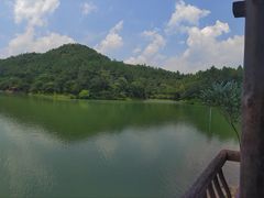 -广州白江湖森林公园