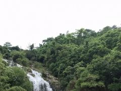-红山村