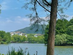 -浙江农林大学(东湖校区)