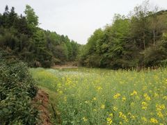 -新安江山水画廊风景区