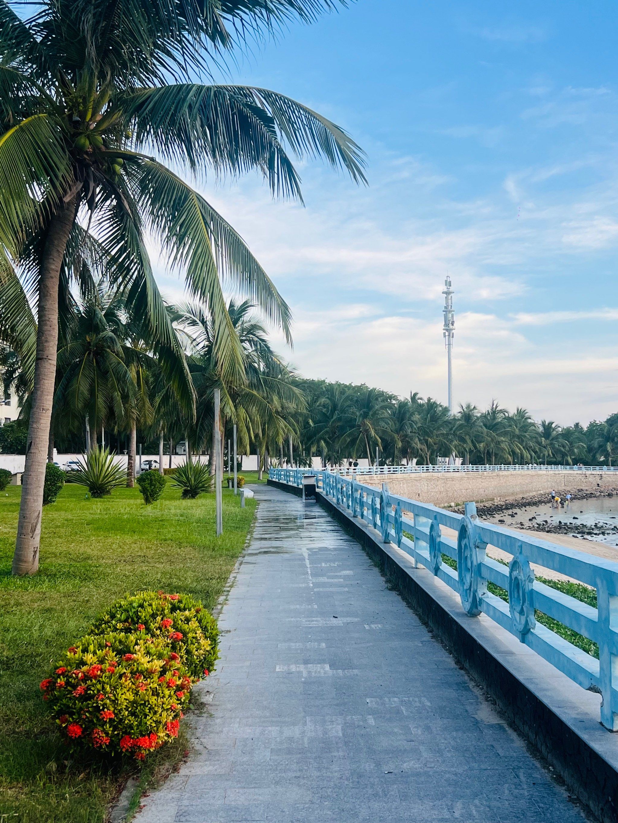 大东海好适合躺平