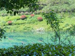 -桃花岭景区