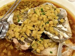 -庐州太太(双岗店)