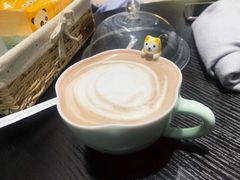 -逗柴咖啡屋·狗咖猫咖宠物桌游