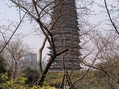 -红梅公园