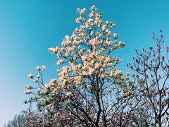 -盛江山自助料理(奥莱锦辉购物广场店)