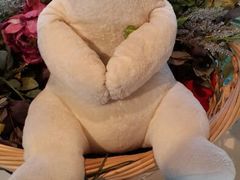 android_upload_pic-济州岛泰迪熊博物馆