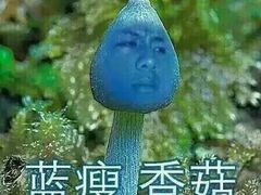 -水月·和牛工坊(水晶郦城店)