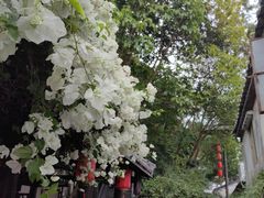 -鹅滋道(甘坑古镇店)