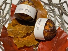 -Bleston Court Yukawatan