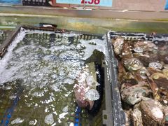 -渔民新村(番禺总店)