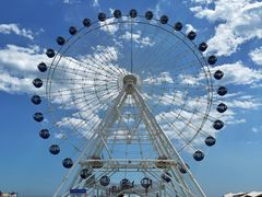 -秦皇岛乐岛海洋王国