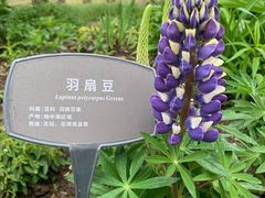 -北京植物园-展览温室
