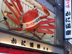 -蟹道乐(道顿堀本店)