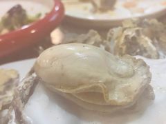-大自然农场蔬菜草莓采摘园