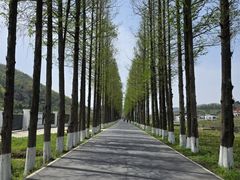 -南北湖风景区