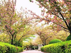 -上海大学(宝山校区)
