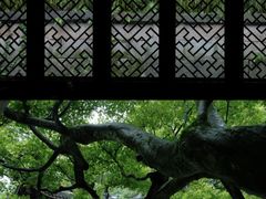 -虎跑公园