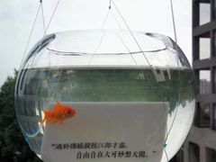 -知美术馆