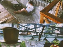 -Rainforest