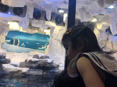 -华夏文旅海洋公园