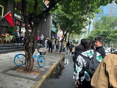 -西月城谭豆花(春熙路店)