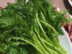 -協成海鮮火鍋(老店)