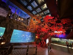 -华夏文旅海洋公园