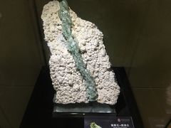 -中华赏石园
