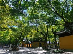 -西园戒幢律寺