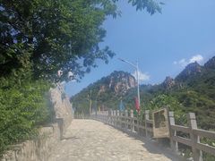 -大岭沟猕猴桃谷风景区