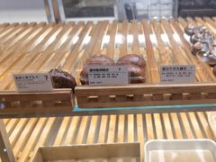 -WHEN PIGS FLY当猪飞