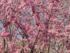 -马记伊源斋涮肉·清真菜(潘家园古玩市场店)