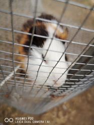 -萌宠亲子动物乐园(槐房万达店)