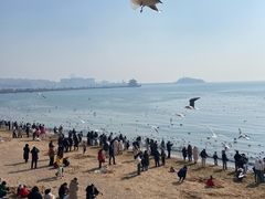 -青岛海滨风景区