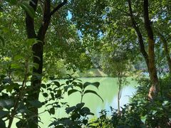 -广州白江湖森林公园