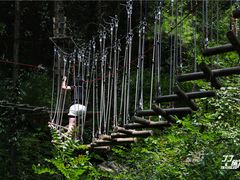 -梦幻奥陶纪景区