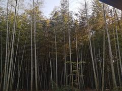 -同里国家湿地公园