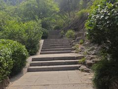 -佛慧山