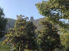 -杭州半山国家森林公园