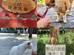 -北京鲁迅博物馆(北京新文化运动纪念馆鲁博馆区)