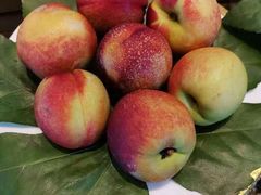 -火舞泰·泰式海鲜火锅餐厅(世纪城店)